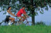 33_kopie.jpg (31356 Byte)