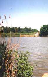 Naturteich Grohart